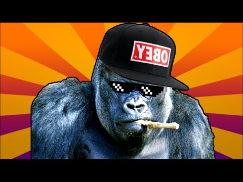 gORILLA