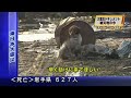 I liked a YouTube video -- Ultimate Loyalty: Dog Refuses to Leave Injured Friend Behind... http://youtu.be/fr17Ke3e2fA?a