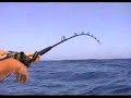 SWR Marlin