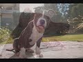 i'm still playing around with this video editing software and learning still. sorry if it looks noobish but i am a newb at this. i'm using 