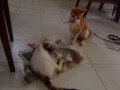 bonding moments