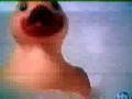 Liquits-patito de hule