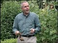 Virginia Farm Bureau - In the Garden - Plant Diseases Virginia Farm Bureau - In the Garden - Plant Diseases
