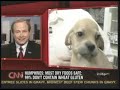 PET FOOD RECALL STORY ON CNN PET FOOD RECALL STORY ON CNN