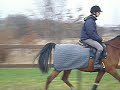 Speedy the speedfighter