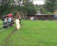 Tennessee Walking Horse demo