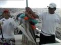 Punta Mita Fishing,with Chuy Gorrillas & Erasmo Valencia