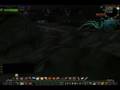 Kibler's Exotic Pets Solo