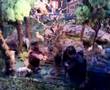 Foto v�deo