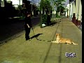 Can Kun Labrador mcho. con Sandra