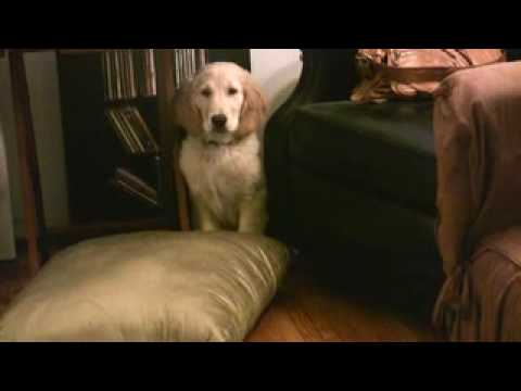 Ella and the Vacuum Cleaner