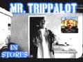 Mr Trippalot - Bang Bang Mr Trippalot - Bang Bang