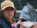 RAPALA JIGGINGRAP ????