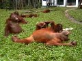 Chilling out after Forest School