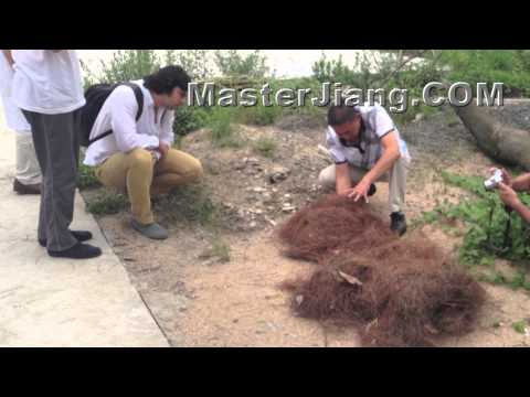 how to perform pyrokinesis