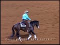 Spooks Gotta Whiz i Jordan Larson - NRHA Futurity 2010