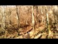 Un petit aperçu des extras ma saison de chasse en battue de gros gibiers en espérant que la prochaine soit aussi riche en émotions et en rencontre ! Place à la chasse aux Corvidés, au ball-trap (car j'ai beaucoup loupé cette saison ! ) et à l'aménagement des territoires de plaines. A bientôt