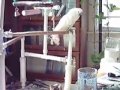 Pop goes the kitty Pop goes the kitty