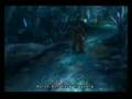 Final Fantasy X: Auron