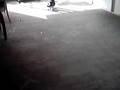 nollie bs flip