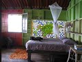 Turtle Cabin at Tesoro Escondido (Bocas del Toro)