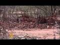 Residents struggle as Ogaden conflict simmers - 17 Apr 08