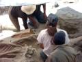 videos de Mamut