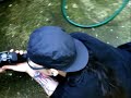 G&P M249 FIRING- NO HOURS OF TALKING G&P M249 FIRING- NO HOURS OF TALKING