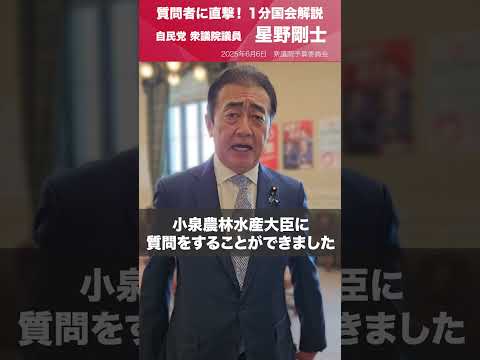 【1分国会解説】#星野剛士 衆議院議員を直撃「コメ政策について」