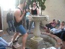 apollon