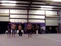 videos de COME ON GIMME FIVE BUCKS bday gym samp