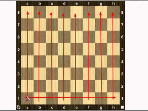 chess board