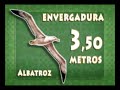 Passeio Animal - Condor