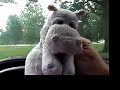 Richard Beymer video 3