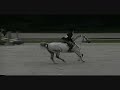 Fancy Made Large Pony in a Schooling Hunter Round