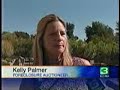 Number of Foreclosed Homes Increasing Number of Foreclosed Homes Increasing