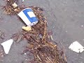 Wolastoq or St. John river flood 08.Everytime you throw something away or litter, it ends up in our streets, forests, rivers, lakes, and oceans or seas. And wildlife not knowing any better drink or eat this stuff and DIE. Which in turn affects the whole cycle of life on OUR planet. Please for the sake of everyone, Do Not Litter!