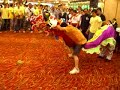 麒麟動画