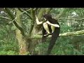 larping-documentary.html