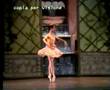 Gabriella Cohen in Schiaccianoci variation