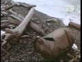 https://www.youtube.com/watch?v=fsP0sYuof5U