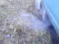 Poljski drift vs Vere?- kurenje guma Poljski drift vs Vere?- kurenje guma
