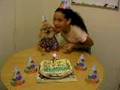 P.STAR DOG BIRTHDAY PARTY