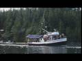 View Video: Stubbs Island Whale Watching