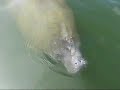 Part 2 Cocoa Beach vacation Part 2 Cocoa Beach vacation