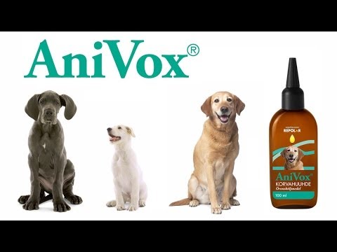 how to dissolve dog ear wax
