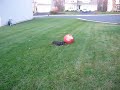 Colonel Mustard and the Big Red Ball