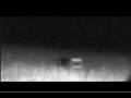 ECETI ORBS 5