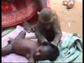 Monkey babysitter