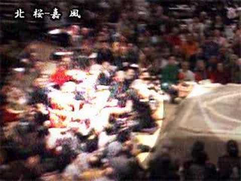 real SUMO fighting 北桜vs 嘉風